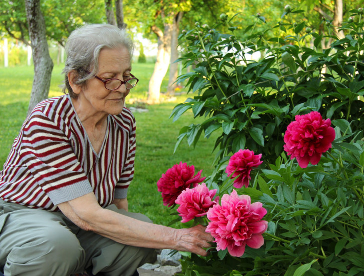 Jardinagem terapêutica